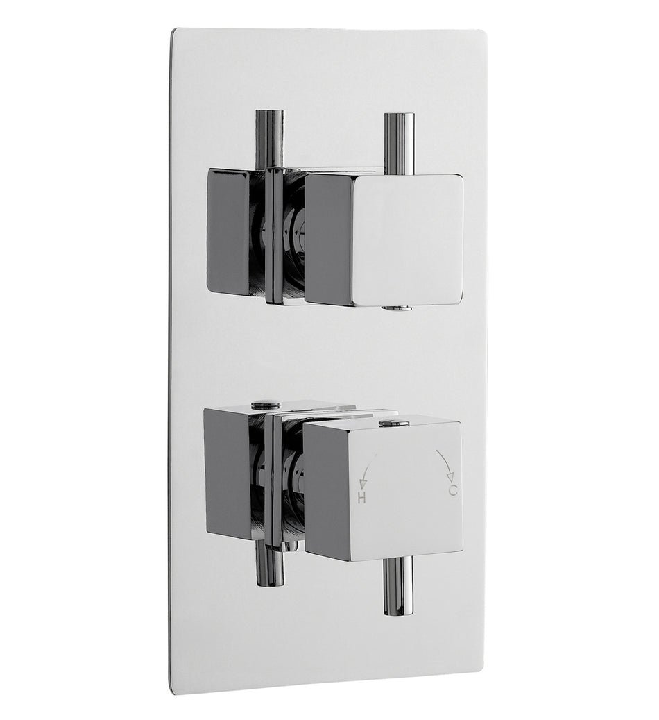 Square Showers Twin Thermostatic Shower Valve With Diverter