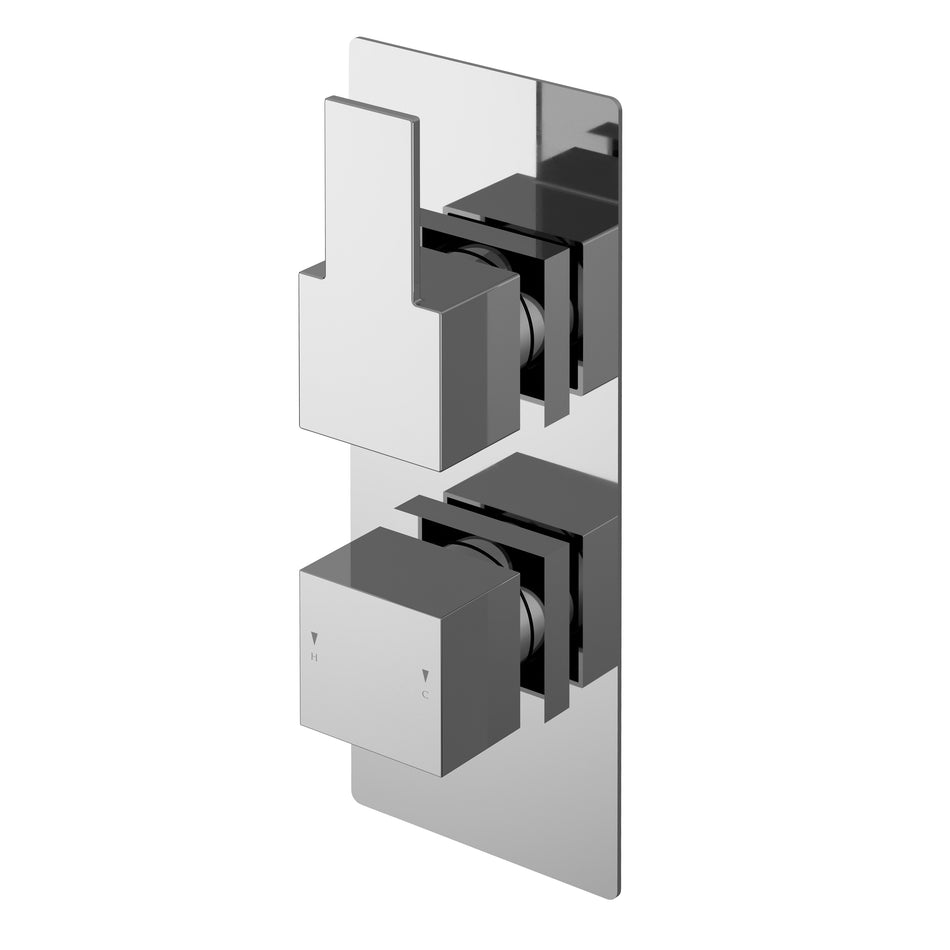 Sanford Twin Thermostatic Valve With Diverter